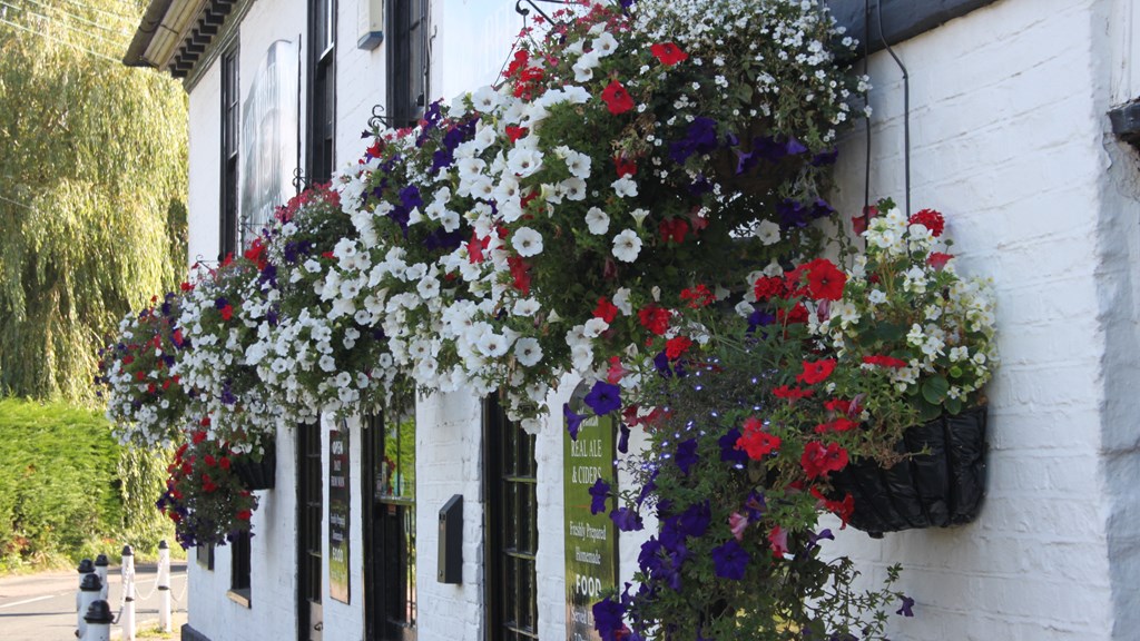 Three Tuns Exterior Building Hanging Baskets.JPG