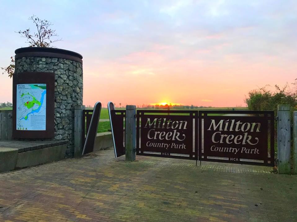 Milton Creek Postcard (Summer).JPG