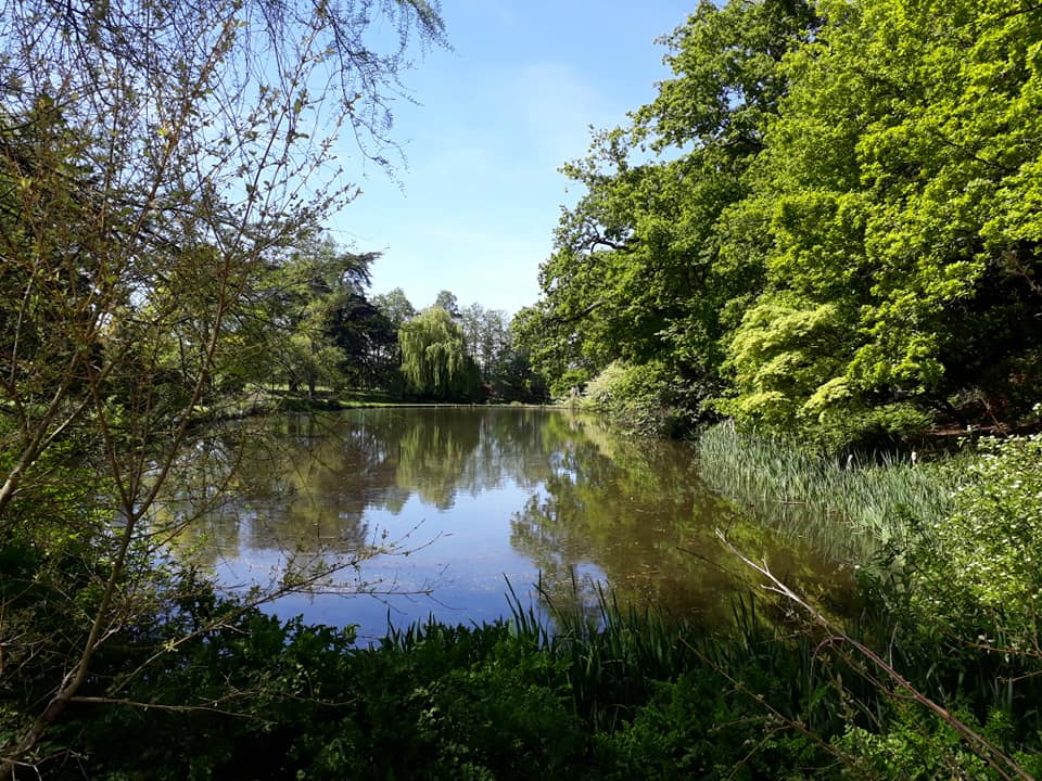 Pond at Mount Ephraim Gardens 2019 MG.jpg