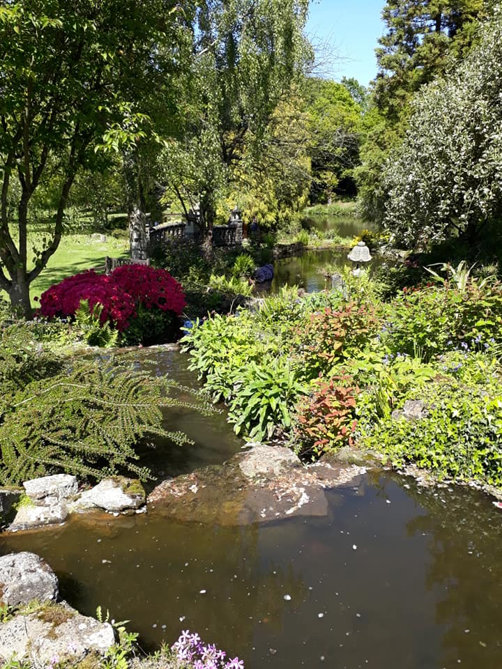 Water Garden Mount Ephraim 2019 MG.jpg