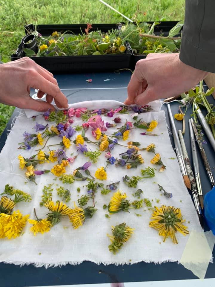 Flower Pressing At Milton Creek Country Park Facebook Image