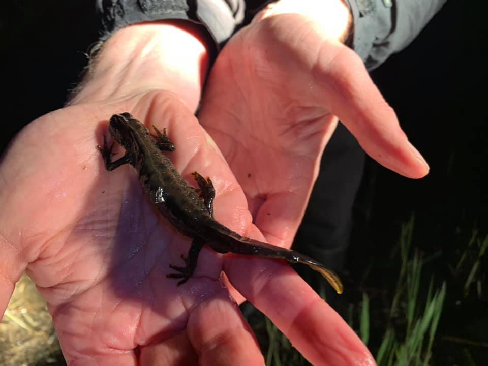 See What You Can Find In Milton Creek Country Park Facebook Image