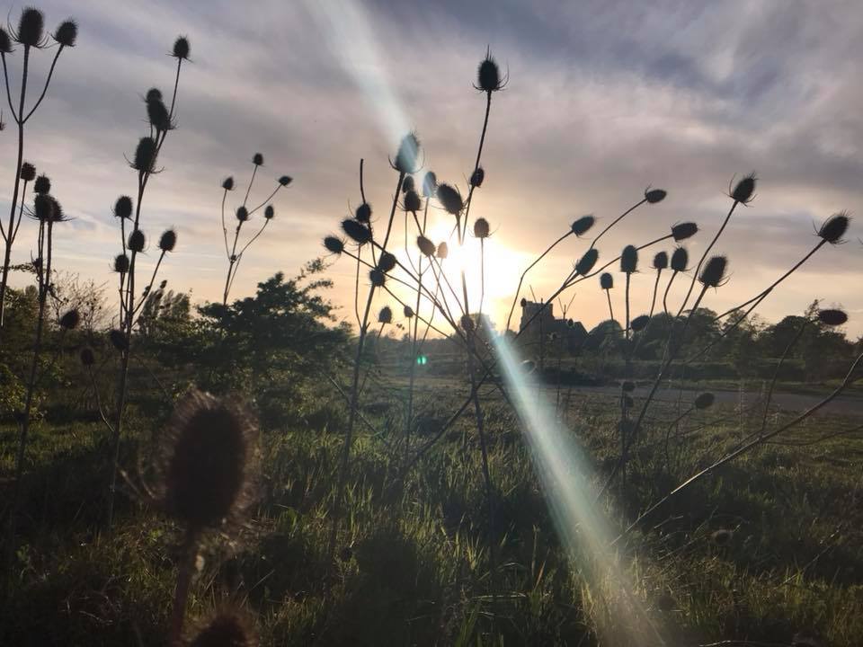 Yvonne Crawford Always Good Photo Opportunities In The Park