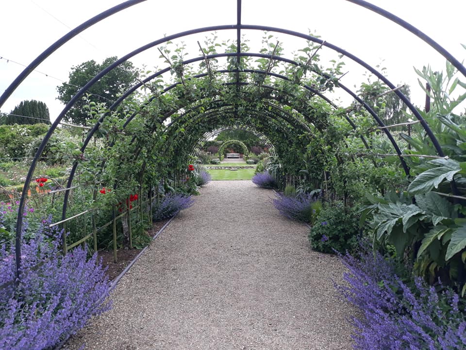 Belmont Garden Arch With Colour
