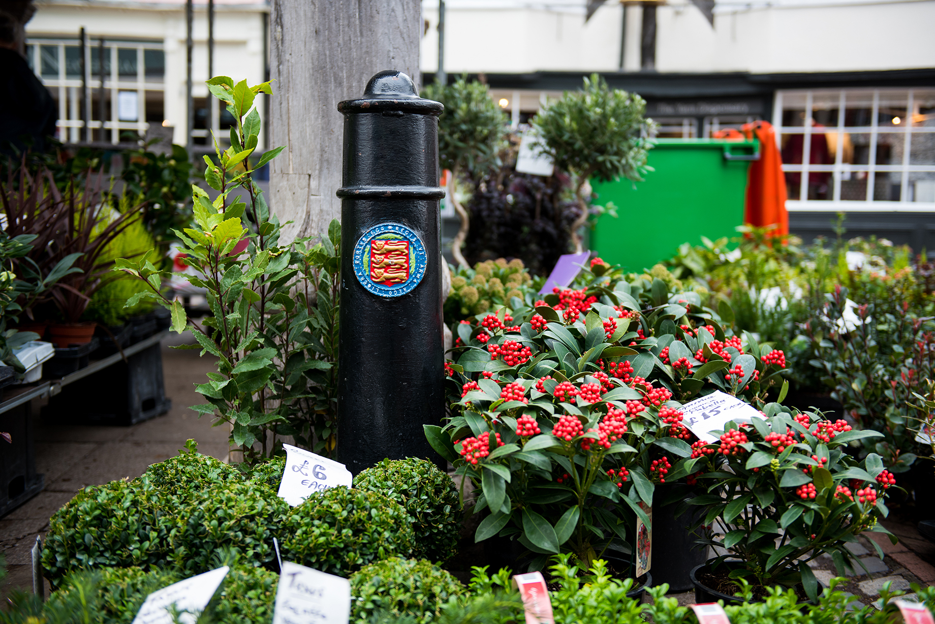 Saturday Market Fbcover