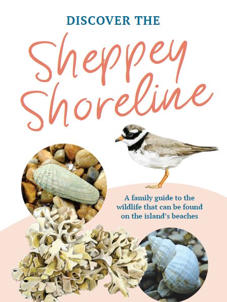 Sheppey Shoreline Snip Image
