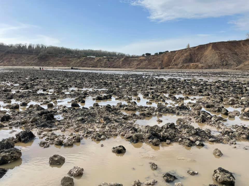 James Black Warden Bay 4