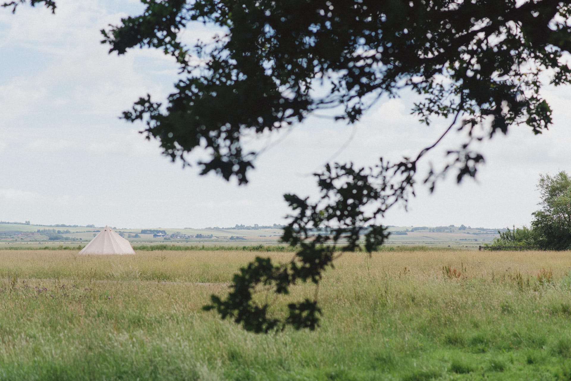Sapling Bell Tents