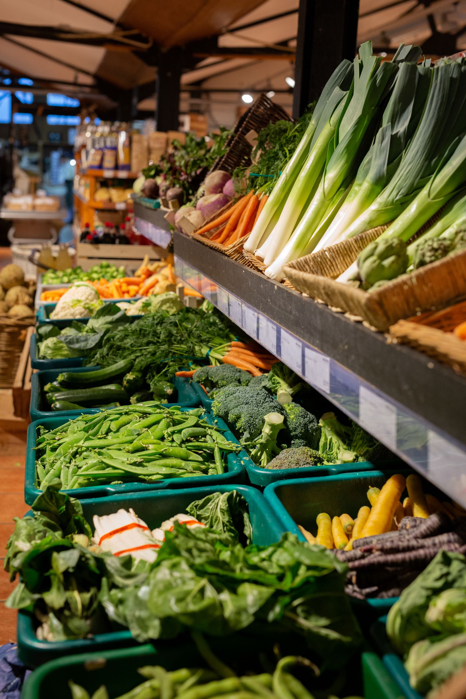 Macknade Faversham V 2