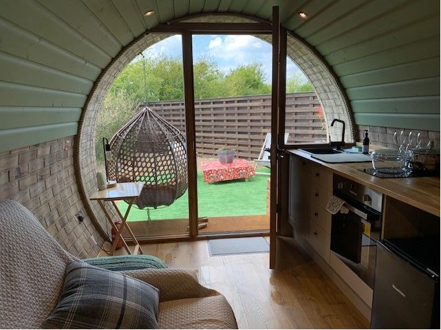 Pod Looking Out Snip