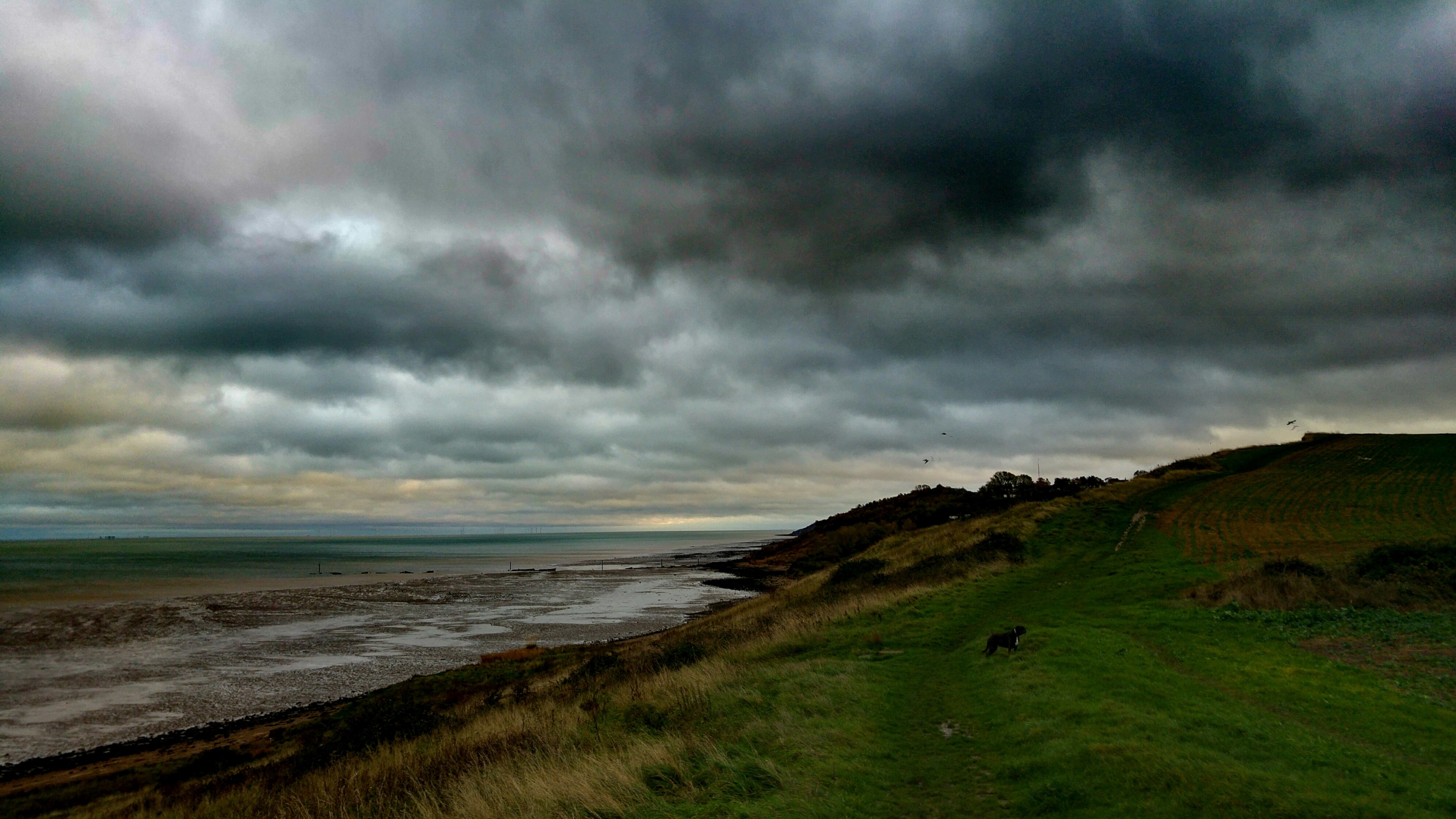 Grey Weather Sheppey.jpg