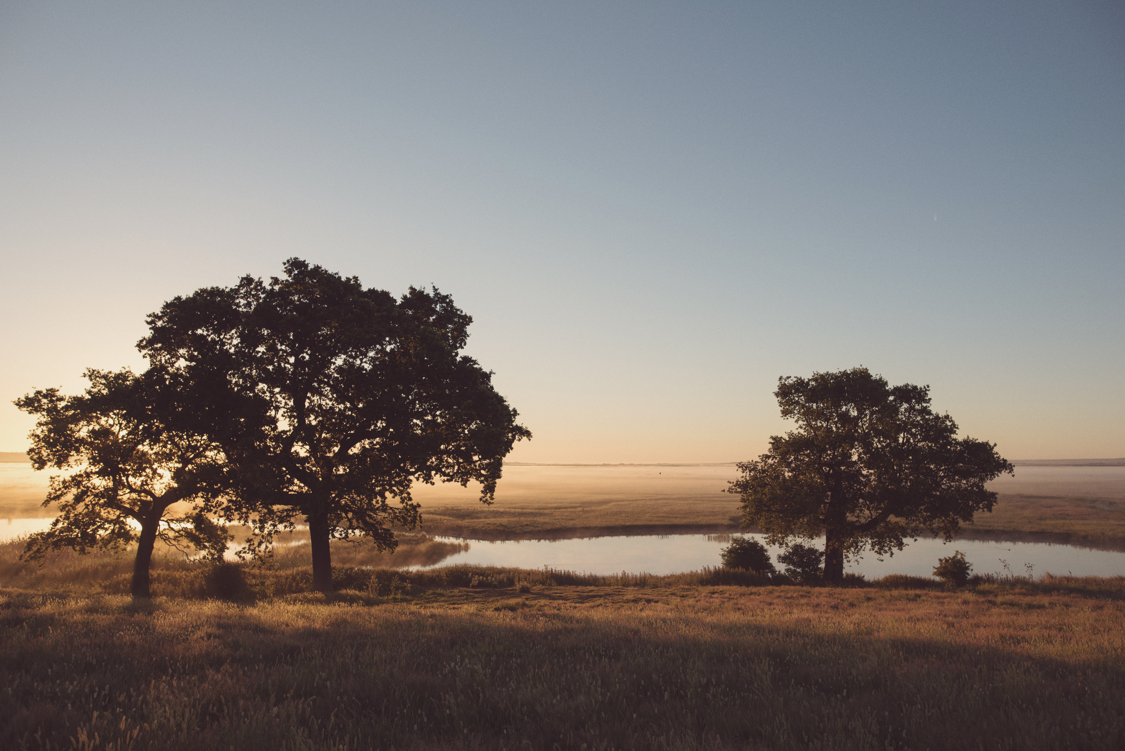 Elmley Nature Reserve Sunrise Tuesday 30Th June 2015 149